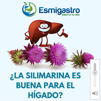 Asesoría Para Pacientes Con Enfermedades Hepáticas