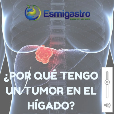 Asesoría Para Pacientes Con Enfermedades Hepáticas