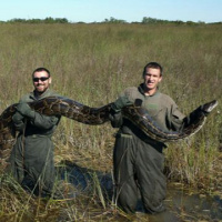 101: Radio Bets, Python Hunt, Ice Cream Contest, Sunset Sounds Cruise, Weekend Wedding 02-28-2018