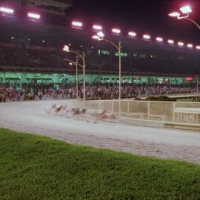 88: Live From Derby Lane - NHL Bets, Stacy Goes Ham, Spring Break Cruise, Youre Invited 12-30-2017