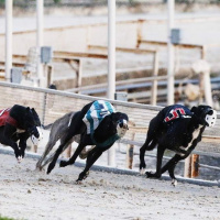 144: Live From Derby Lane - Matt Spending More Time At The Ticket Machines, Small Supers 12-22-2018