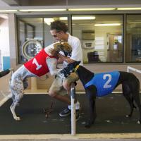 111: Live From Derby Lane - Kentucky Derby Day, Cinco De Mayo 05-05-2018