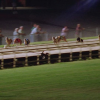 140: Live From Derby Lane - Dan Fights With His Bank, Funny Names, Hilarious MMA Me Too 11-17-2018