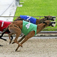 110: Live From Derby Lane - Dan Yells at a Fat Woman Who Abandoned Her Child 04-28-2018