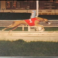 98: Live From Derby Lane - Premiere on WZIG, Dan and Tony Play Poker, Fight About The Past 2-03-2018