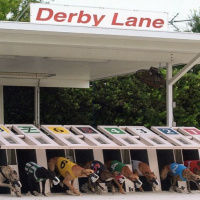 152: Live From Derby Lane - Fundraiser Recap, Dont Kill Yourself, Big Stakes 03-02-2019