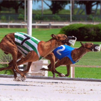 93: Live From Derby Lane - DJ Stu Tags Along, How to Bet, Beginners Luck 1-13-2018