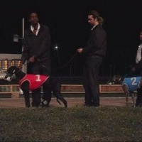 104: Live From Derby Lane - Cruise Recap, Dans Plan to Cash In, We Win, Thanks Quickdog 03-17-2018