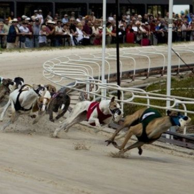 Lifes A Gamble Podcast