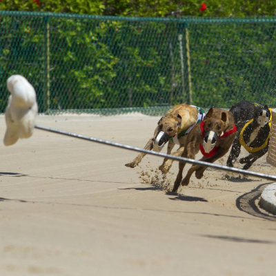 Lifes A Gamble Podcast