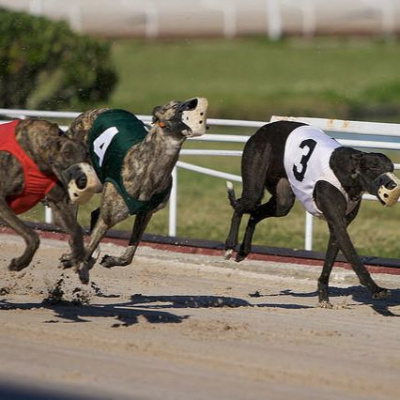 Lifes A Gamble Podcast