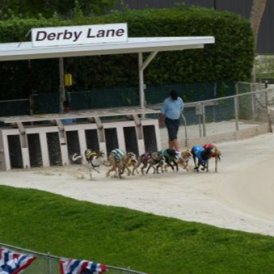 Lifes A Gamble Podcast