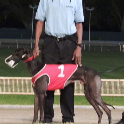 Lifes A Gamble Podcast