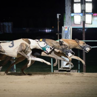 Lifes A Gamble Podcast