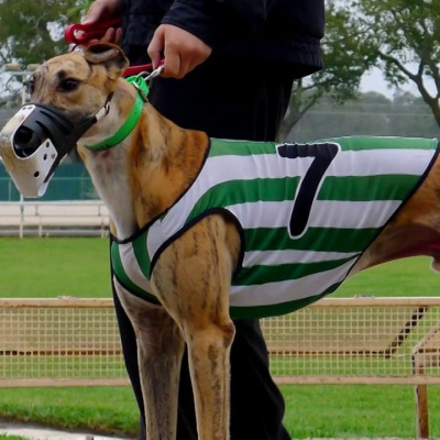 Lifes A Gamble Podcast