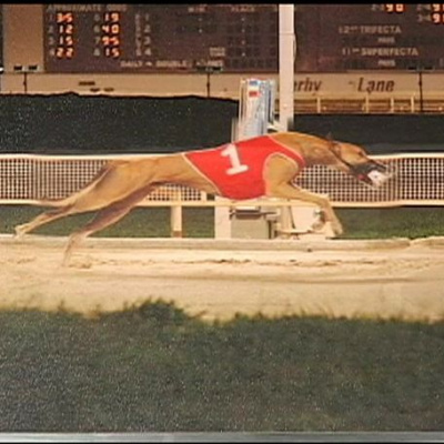 Lifes A Gamble Podcast