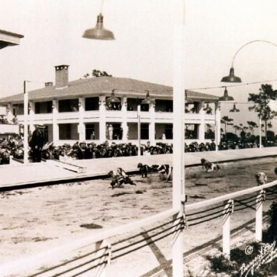 Lifes A Gamble Podcast