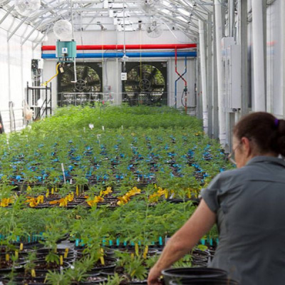 Lifes A Gamble Podcast