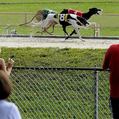 Lifes A Gamble Podcast