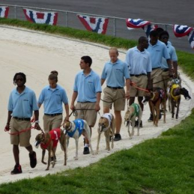 Lifes A Gamble Podcast