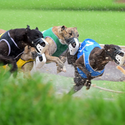 Lifes A Gamble Podcast