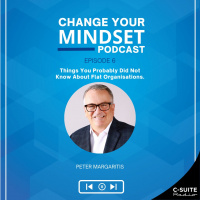 S5E6: Things You Probably Didn’t Know About Flat Organizations