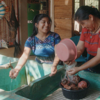 De cine - Documental Abuela Agua - 16/11/25