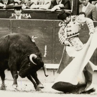 Clarín - Fallece Rafael de Paula: adiós a un gran torero - 02/11/25