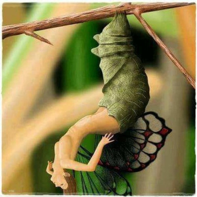 Stamm Der Verklatschten