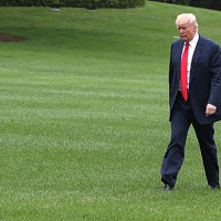 Keller @ Large: Grass Isnt Always Greener On Other Side