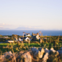 Voller Einsatz fürs Dorf
