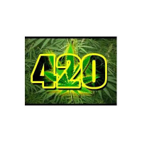 New! Whats the 411 Wednesdays 