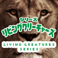 「なぜ、カラス？」 “Why Crow?” [「リビングクリーチャーズ」シリーズ　 “Living Creatures” Series #6]