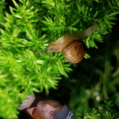 Cashing In With T.j. Miller