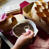 Fröer – början till så mycket mat