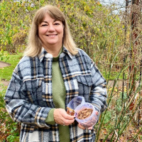 Kanel och kardemumma – så älskade att de nästan känns svenska