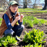 PR-konsulten som blev grönsaksodlare och synade matsystemet