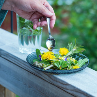 Meny Inlandsbanan Jokkmokk