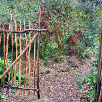 Odla mat utan arbete i skogsträdgård