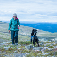Meny Inlandsbanan Gällivare