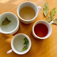 Den Stora Lagerbladskonspirationen