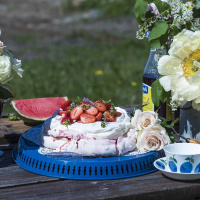 Meny Norrlandsresan - Sommarfika