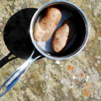 Så kokar du potatis – jo, det finns saker att lära sig!