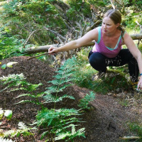 Fermentering - matlagning med de osynliga små