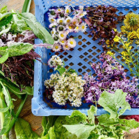 Mat med blommor och blader