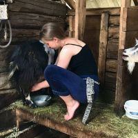 På sommaren flyttar de till fäboden