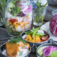 Meny Norrlandsresan - Picknick