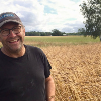 Vete - det äldsta och svåraste sädesslaget