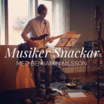 Musiker Snackar