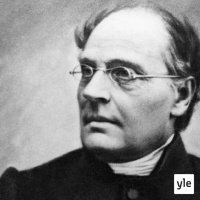 Roman Schatzin Maamme-kirja: Tuntematon Ruuneperi